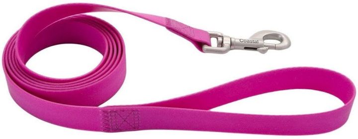 Coastal Pet Pro Waterproof Dog Leash Purple