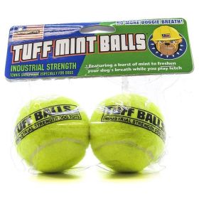 fePetsport USA Tuff Mint Balls - 2 Pack