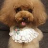 Cute Flower Retro Handmade Lace Collars Dog Necklace Cat Collars 8.2-11.2"