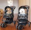 Petique Durable Pet Stroller Black Camo