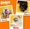 Hartz Oinkies Chickentastic Tender Twists for Dogs