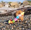 ZippyPaws Plush Caterpillar Toy with Squeakers