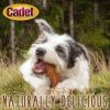 Cadet Gourmet Chicken Breast Treats for Dogs