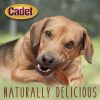 Cadet Gourmet Duck Breast Treats for Dogs