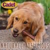 Cadet Single Ingredient Bully Sticks for Dogs Small