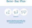 PetAg Bene-Bac Plus FOS & Probiotics Pet Gel