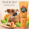 Pet Head Ditch the Dirt Deodorizing Conditioner for Dogs Orange with Aloe Vera