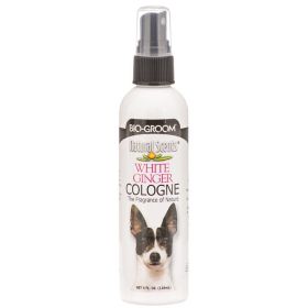 Bio Groom Natural Scents White Ginger Cologne (20 oz (5 x 4 oz): 20 oz (5 x 4 oz) Bio Groom Natural Scents White Ginger Cologne)