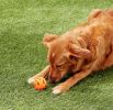 Chuckit Breathe Right Fetch Ball Dog Toy