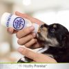 Four Paws Healthy Promise Pet Nurser Bottle with Brush Kit