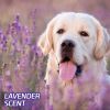 Hartz Home Protection Lavender Scent Odor Eliminating Dog Pads