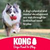 KONG Ball With Rope Dog Toy Small