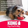 KONG Cozie Spunky the Monkey Dog Toy Small