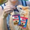 KONG Bites Mini Beef Flavor Treats for Dogs