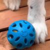 JW Pet Crackle Heads Rubber Ball Dog Toy Medium