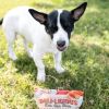 Loving Pets Deli-Licious Deli Style Treats Roast Beef and Cheddar Recipe