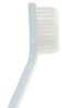 PlaqClnz Double End Pet Toothbrush