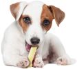 Nylabone Dura Chew Bone Original Flavor Regular