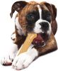 Nylabone Dura Chew Bone Original Flavor Giant