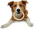 Nylabone Dura Chew Ring Original