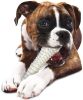 Nylabone Dura Chew Bone Chicken Flavor Souper