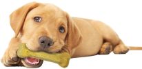 Nylabone Flexi Chew Bone Chicken Flavor Wolf