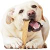 Nylabone Flexi Chew Bone Chicken Flavor Giant