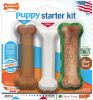 Nylabone Puppy Chew Starter Kit