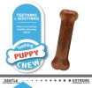 Nylabone Puppy Chew Starter Kit