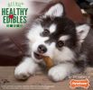 Nylabone Puppy Healthy Edibles Natural Long Lasting Lamb and Apple Dog Chew and Treat