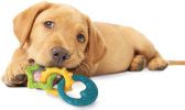 Nylabone Puppy Chew Teething Rings Bacon Flavor