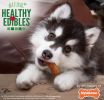 Nylabone Natural Healthy Edibles Puppy Turkey and Sweet Potato Puppy Chew Treats Petite