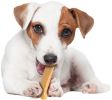 Nylabone Dura Chew Bone Peanut Butter Flavor