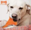 Nylabone Dura Chew Axis Dog Chew Bacon Flavor