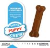 Nylabone Puppy Chew Twin Pack Petite