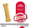 Nylabone Puppy Chew Twin Pack Petite