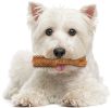 Nylabone Natural Nutri Dent Filet Mignon Limited Ingredients Small Dog Chews