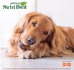 Nylabone Natural Nutri Dent Filet Mignon Limited Ingredients Large Dog Chews