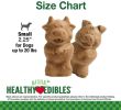 Nylabone Healthy Edibles Natural Puppy Chew Treats Lamb and Apple Flavor