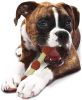 Nylabone Power Chew Shish Kabob Mess Free Nylon Chew Toy Chicken Jerky Flavor Souper