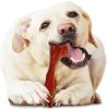 Nylabone Power Chew Bison Bone Alternative Dog Chew Toy Beef Flavor