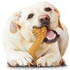 Nylabone Power chew Curvy Dental Chew Peanut Butter Flavor Giant