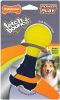 Nylabone Power Play Fetch-a-Bounce Rubber Dog Toy