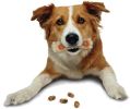 Nylabone Pop-In Treat Refills for Power Chew Treat Toy Combo