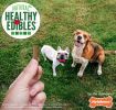 Nylabone Healthy Edibles Natural Chewy Sticks Beef Flavor