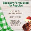 Nylabone Healthy Edibles Puppy Lamb and Apple Souper